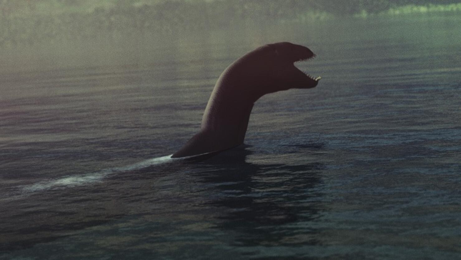 Bizarre 'Baby Loch Ness Monster' Remains Found on Beach | iHeart