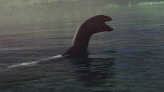 Bizarre 'Baby Loch Ness Monster' Remains Found on Beach