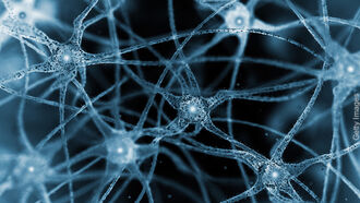 Knapp's News 12/11/22