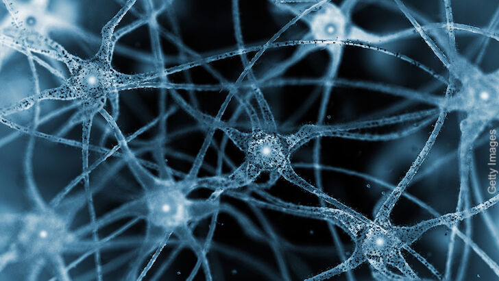 Knapp's News 12/11/22