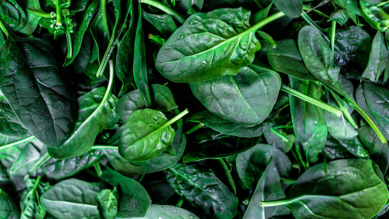 Full Frame Shot Of Spinach Leaves