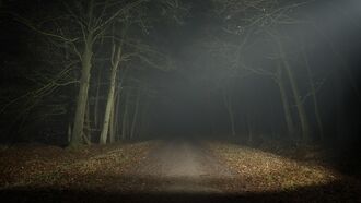 Watch: Ghostly 'Demon Figure' Filmed Crossing Path in Front of Couple at British Park