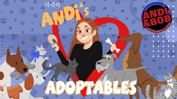Andi's Adoptables