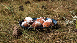 Sasquatch-Themed Donut Shop Opens in Colorado