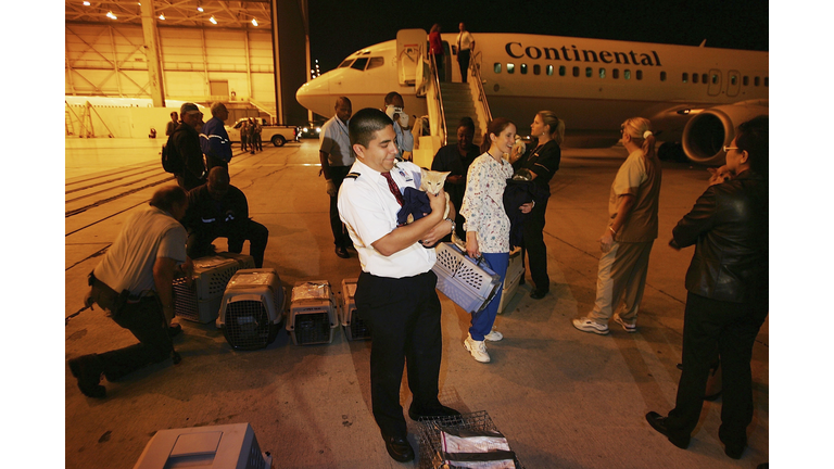 Rescue Flights Bring Animal Victims Of Katrina Out Of Gulf Coast