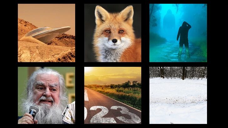 In Coast You Missed It 1/6/23