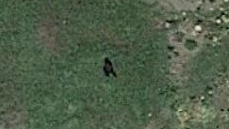 'Bigfoot' Spotted on Google Earth