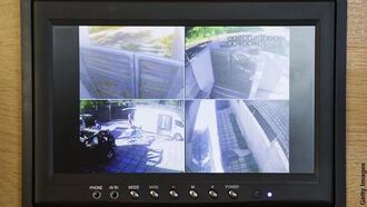 Watch: Security Camera Captures Time Traveler in Florida Backyard?