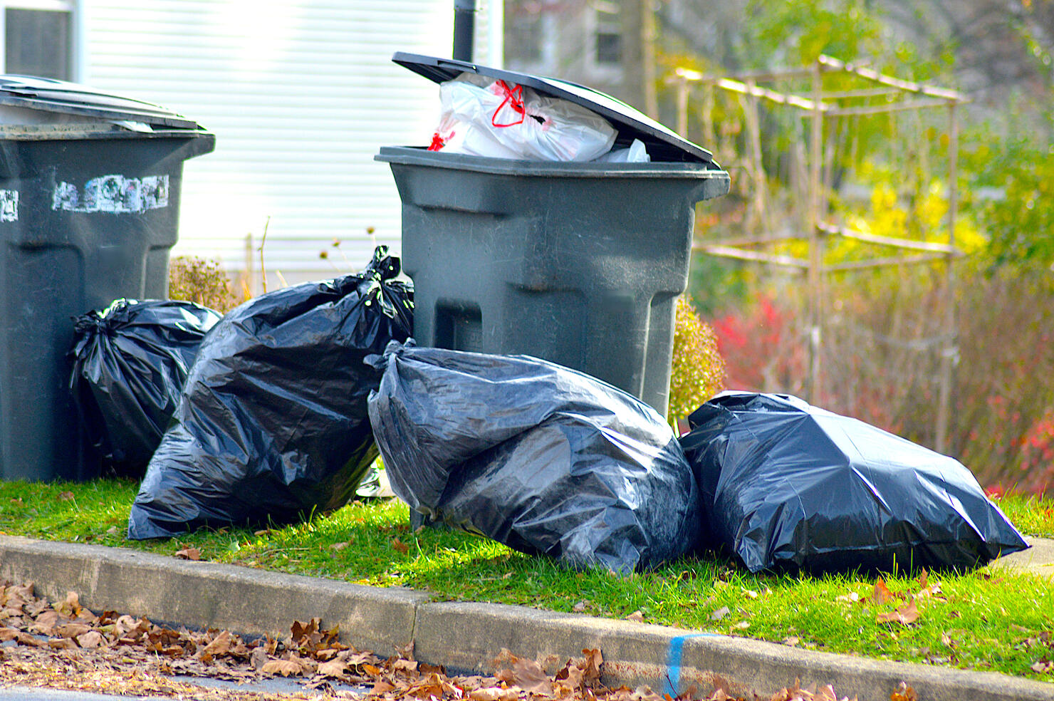Plastic Garbage Bags and Trash Can on Curb