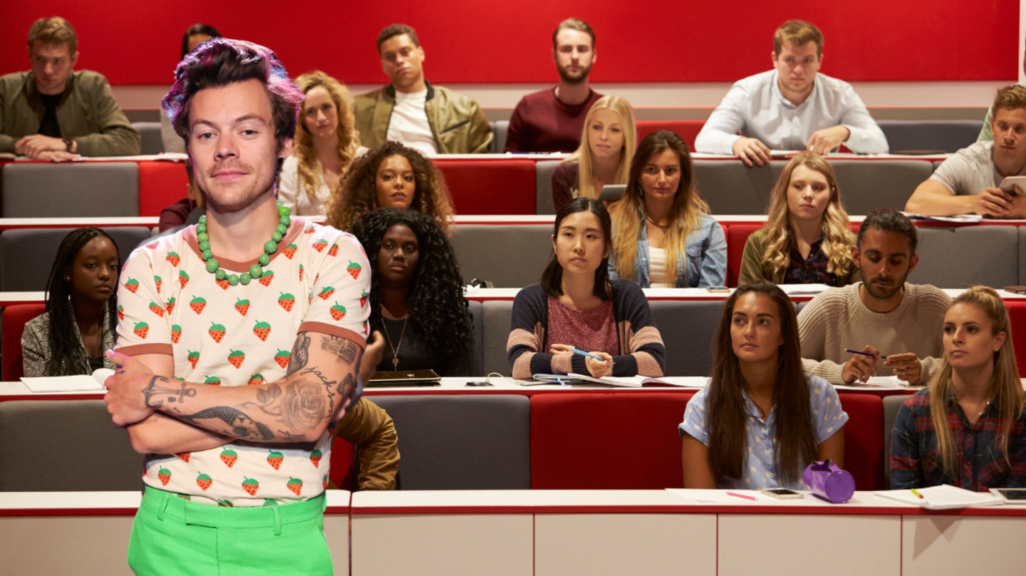 What You Can Expect From New Harry Styles Course At Texas University