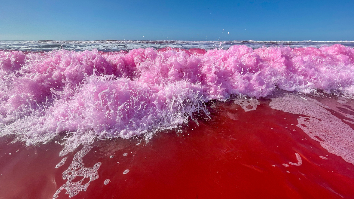 WATCH: Pacific Ocean Mysteriously Turns Bright Pink Off California ...