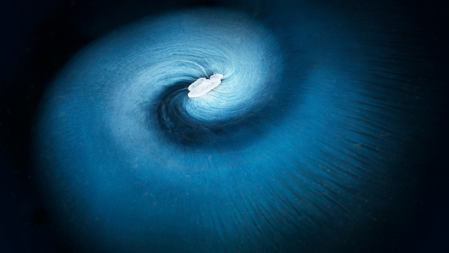 The Blue Vortex