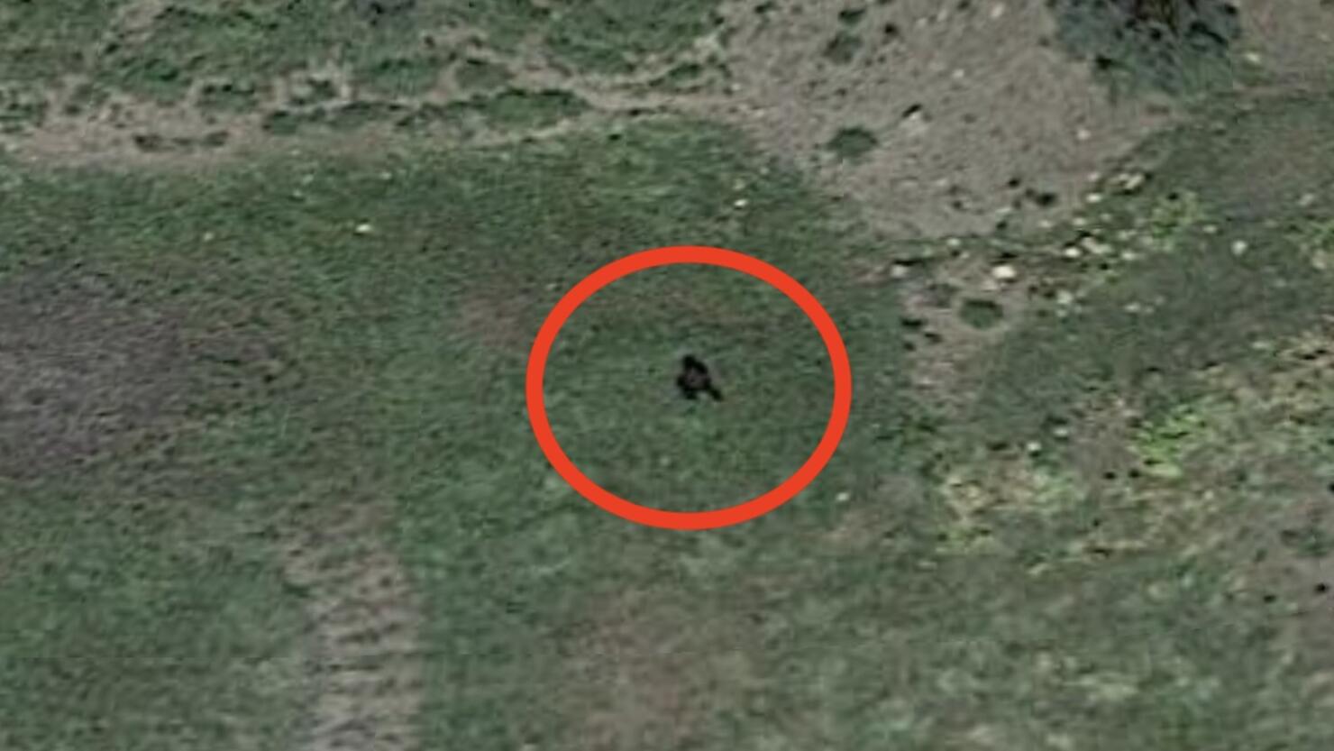 Bigfoot Spotted In Colorado On Google Earth iHeart