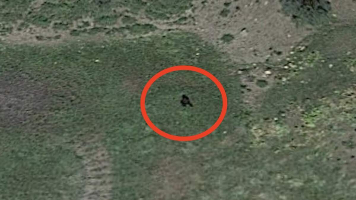 Bigfoot Spotted In Colorado On Google Earth iHeartRadio Enrique Santos