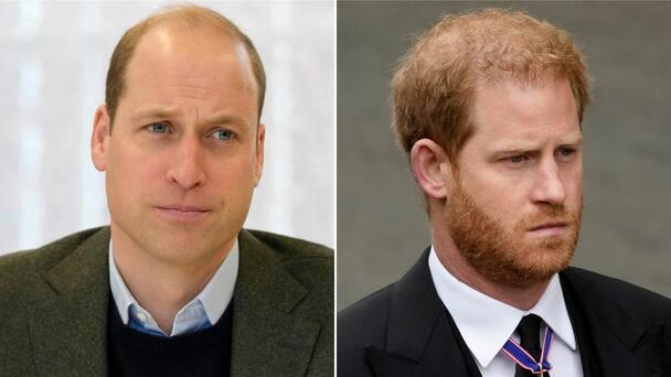 Prince William Says Prince Harry Is 'Not To Be Trusted' After 'Spare'
