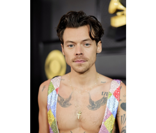 65th GRAMMY Awards - Red Carpet