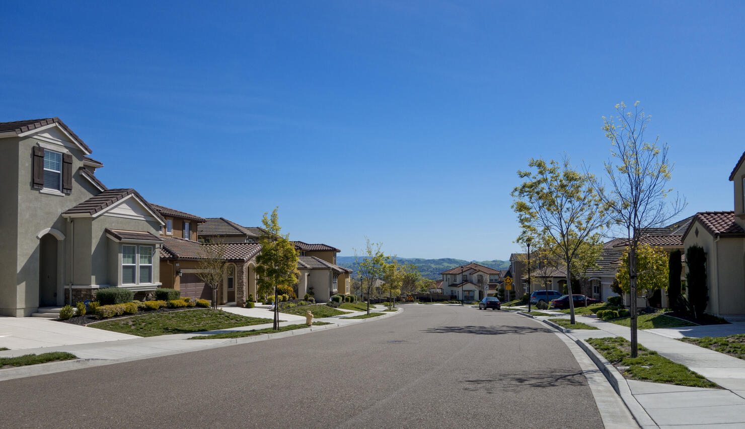 Suburban Homes and street