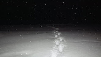 Unexplainable Open Lines