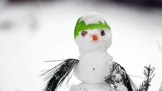 Your Dog Wants To Be A Snowman!