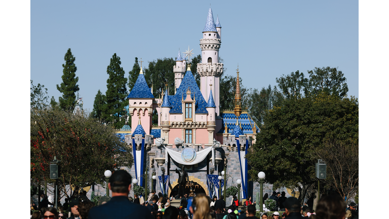 disneyland features