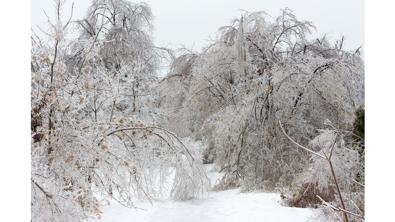 Freezing rain accumultion during the North American Ice
