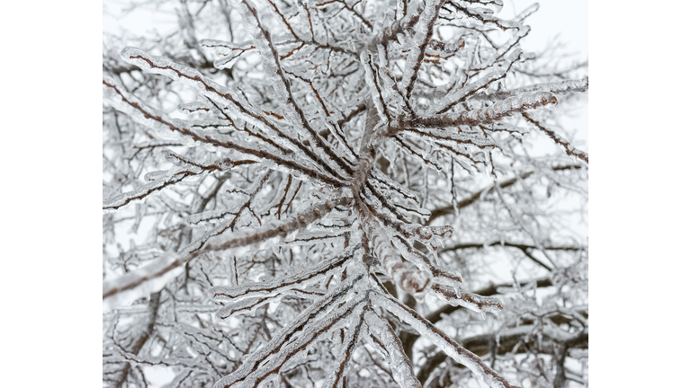 Freezing rain accumultion during the North American Ice