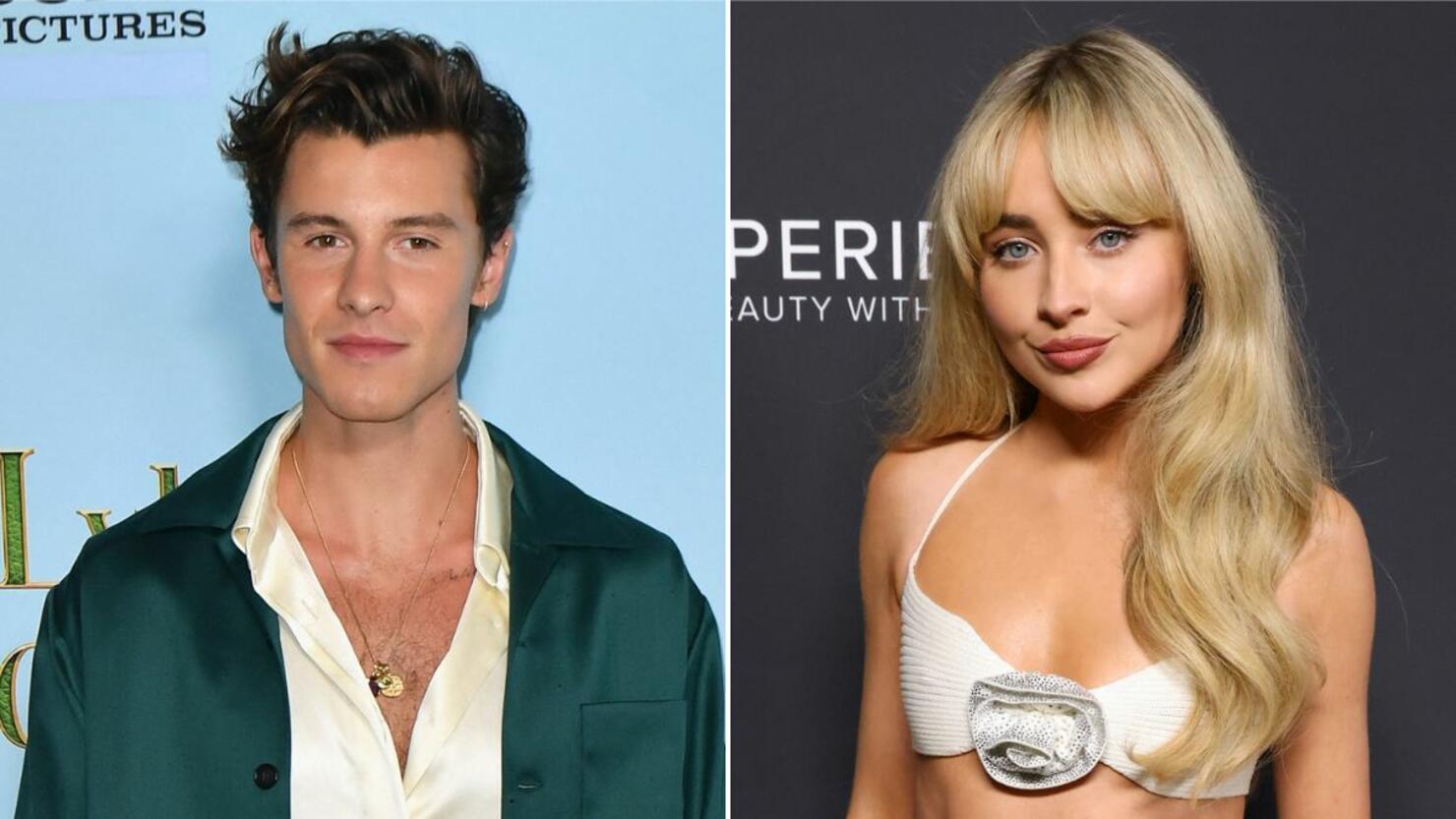 Shawn Mendes and Sabrina Carpenter Rumored Romance: What We Know