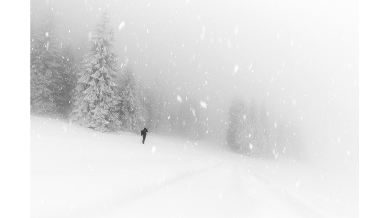 The Beauty Of Winter On The Snowy Mountains In Black And White. Rodnei Mountains, Romania