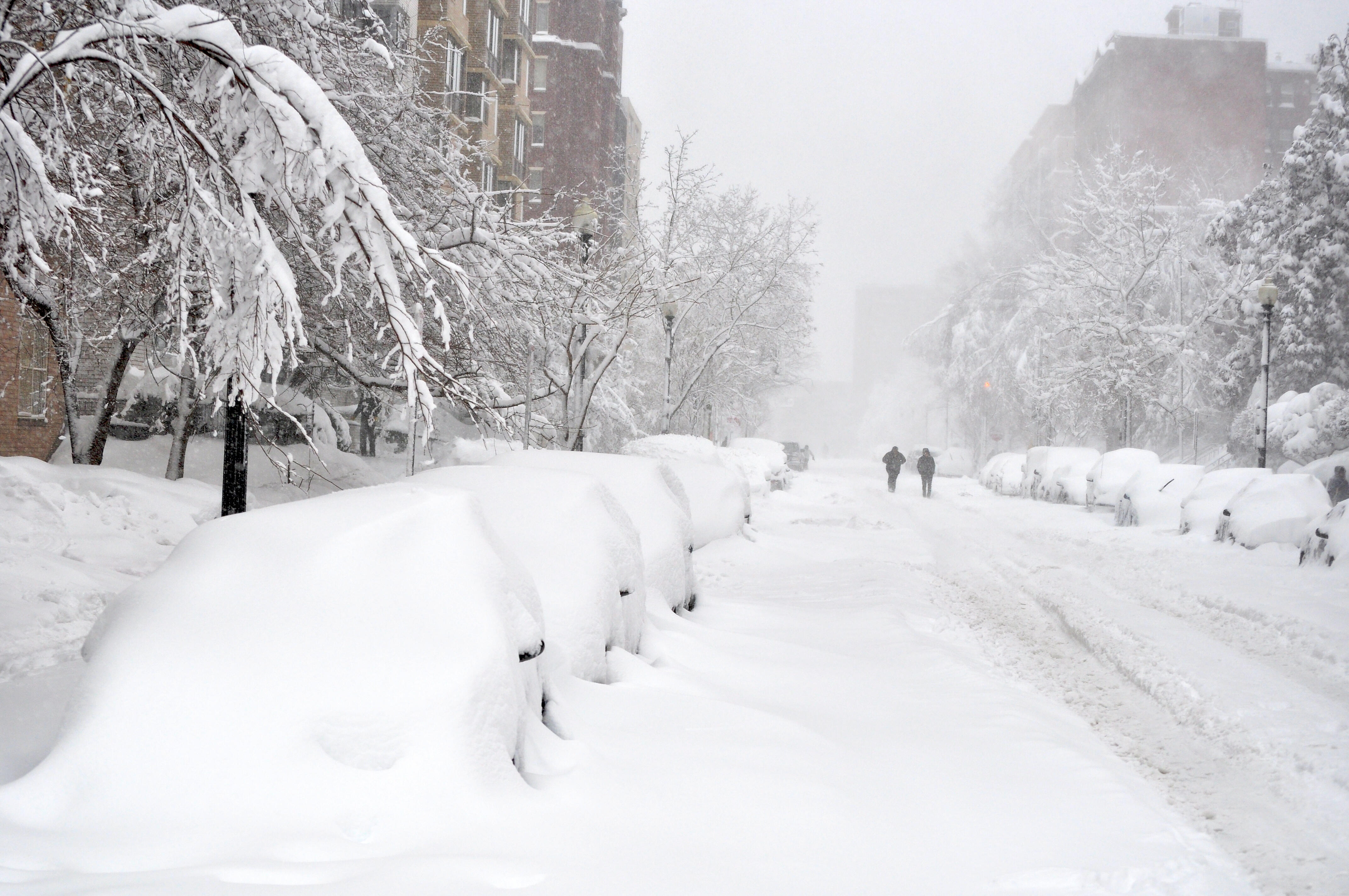 Snowstorm. Зима метель. Снегопад в Нью-Йорке. Вьюга фото. Снег в Англии.