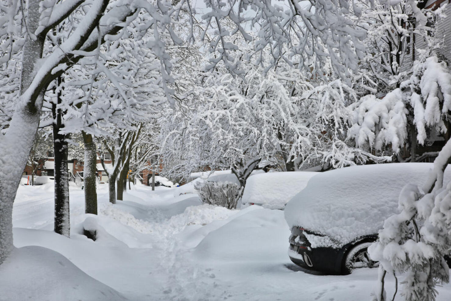 Toronto Gets Hit By The Largest Winter Snowstorm Of The Season