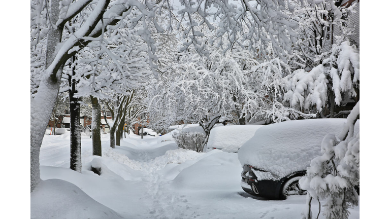 Toronto Gets Hit By The Largest Winter Snowstorm Of The Season