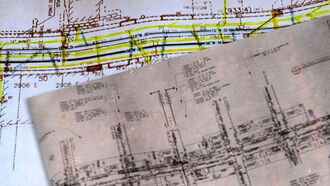 Janet Phelan Images 3/11/23