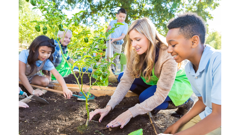 Teacher and farmer teaching elementary students about gardening