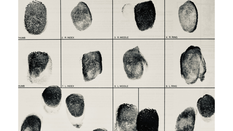 Fingerprint card for law enforcement identification
