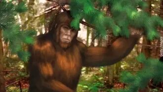 Watch: Bigfoot Filmed in New Hampshire Forest?