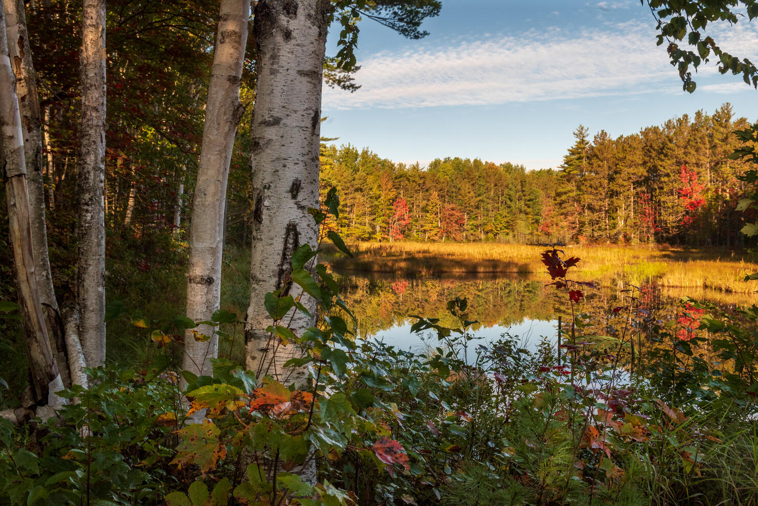 Pond at Baxter State Park in Maine