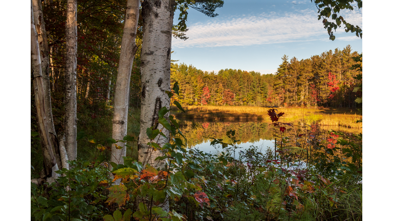 Pond at Baxter State Park in Maine