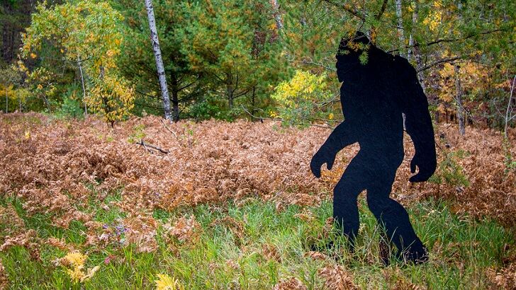 Bigfoot Bandits Snatch Sasquatch Statue in Virginia