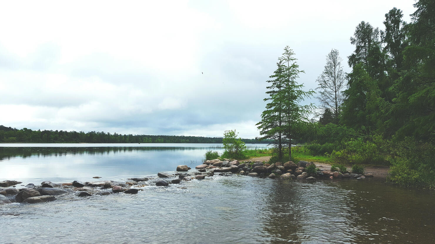 Reflection Of Trees In Lake