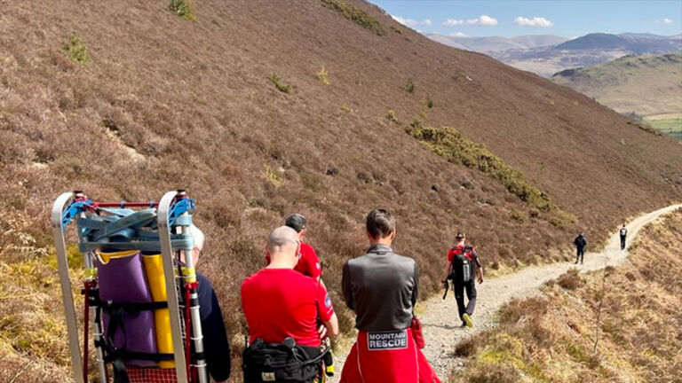 Hikers on "magic mushrooms"