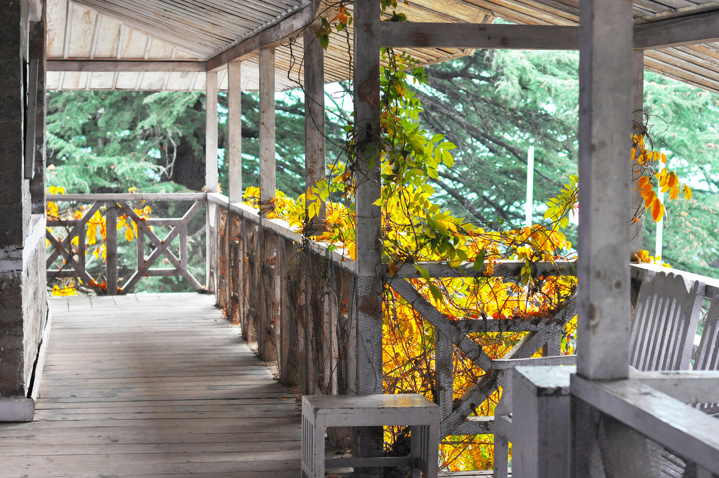 Empty log cabin house balcony