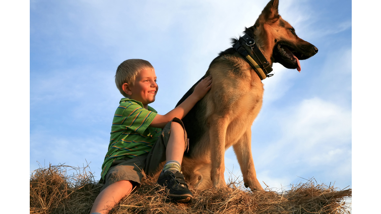 Boy with big dog