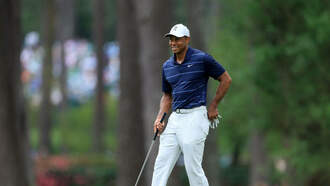 VIDEO: The Tiger Effect