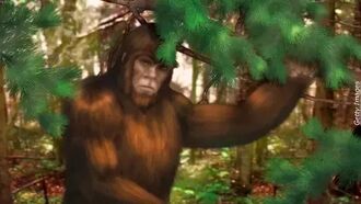 Watch: Bigfoot Filmed Sneaking a Peek at Sasquatch Researchers in Montana?