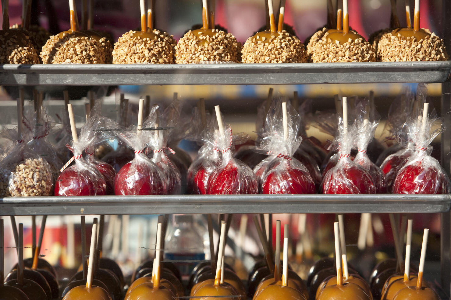 Assorted Candied Apples