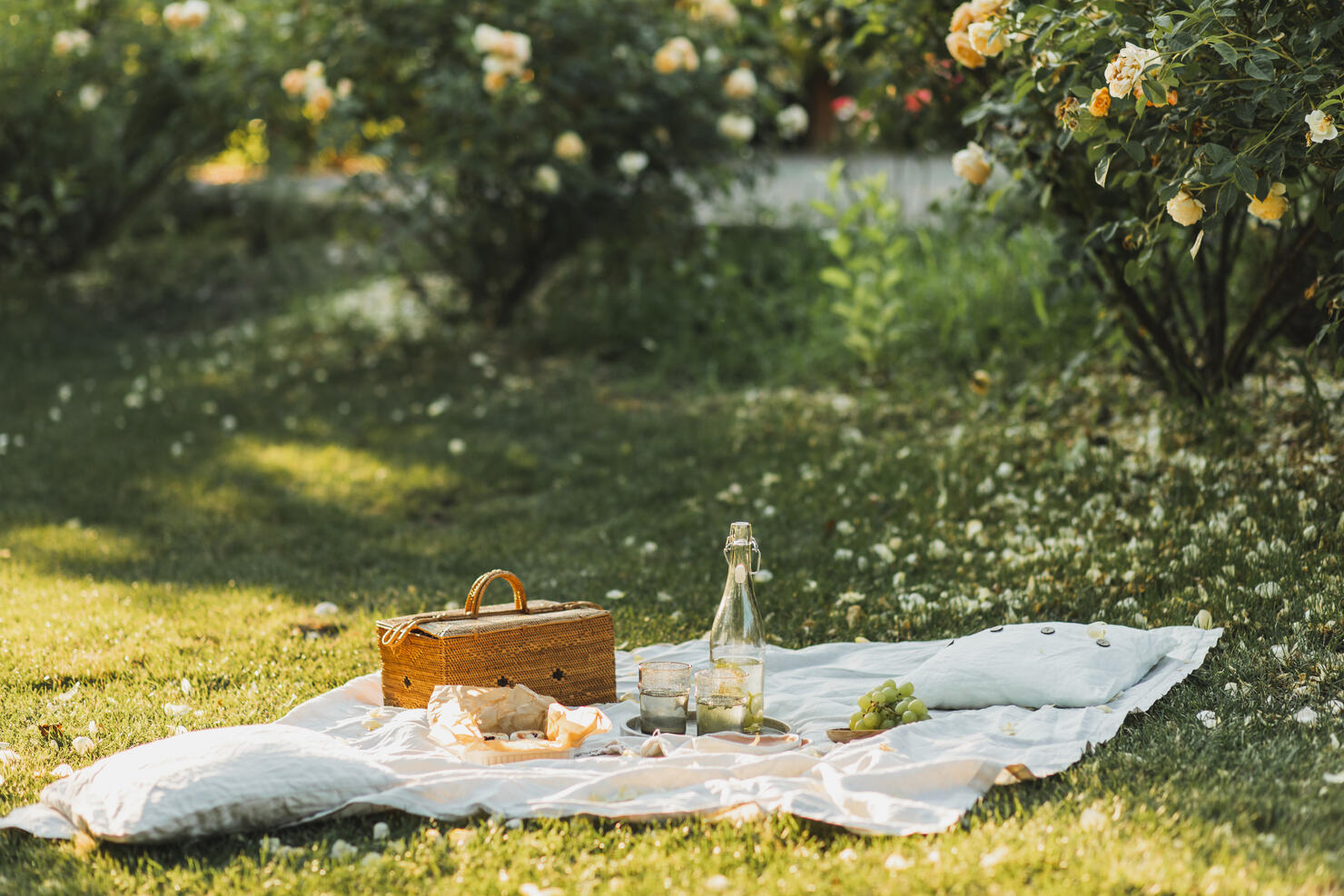 Beautiful summer picnic outdoor with tasty food and lemonade.