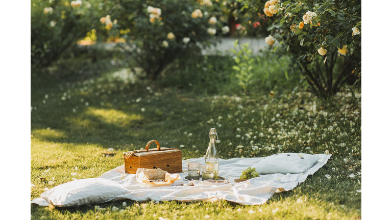 Beautiful summer picnic outdoor with tasty food and lemonade.