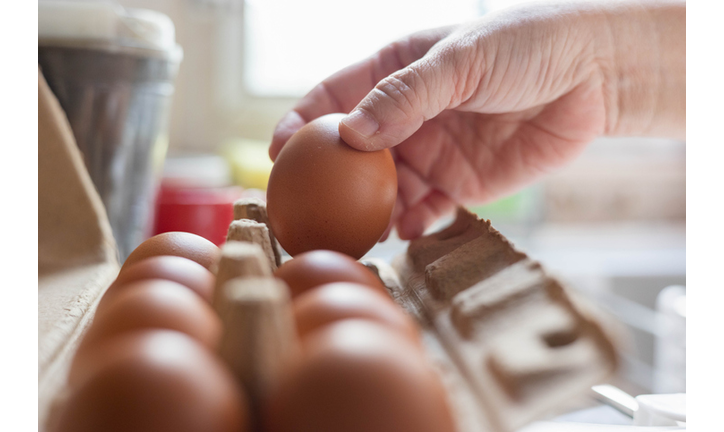 Hand selected Egg in egg box