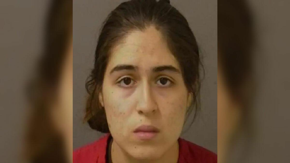 Diana ornelas santa cruz