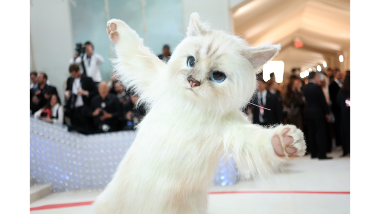The 2023 Met Gala Celebrating "Karl Lagerfeld: A Line Of Beauty" - Arrivals
